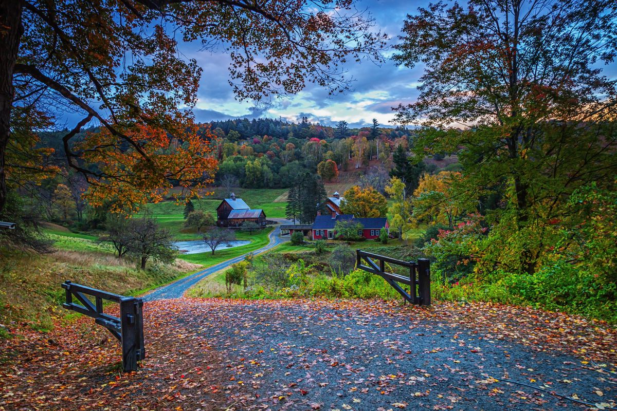 Vermont Fall